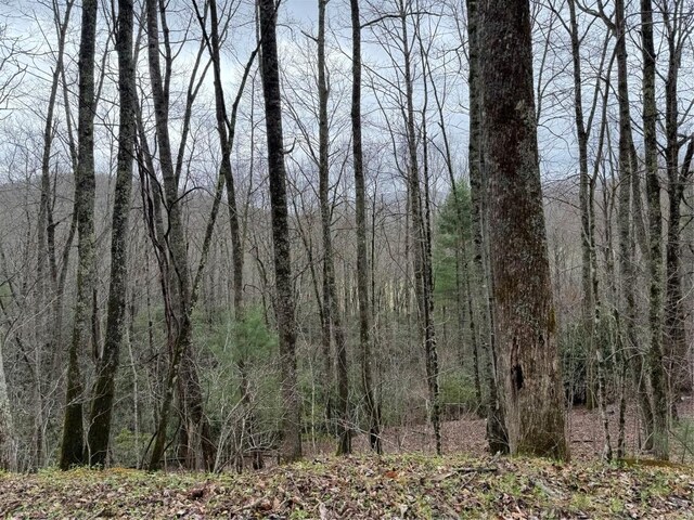 0 Robinson Creek Rd, Glenville, NC 28736 - photo 3