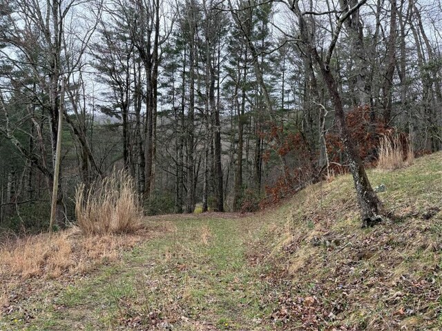 0 Robinson Creek Rd, Glenville, NC 28736 - photo 4