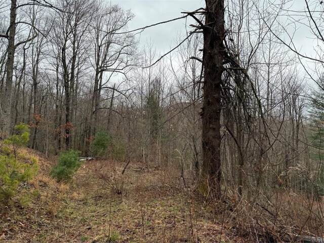 0 Robinson Creek Rd, Glenville, NC 28736 - photo 20