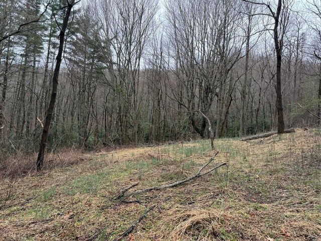 0 Robinson Creek Rd, Glenville, NC 28736 - photo 14