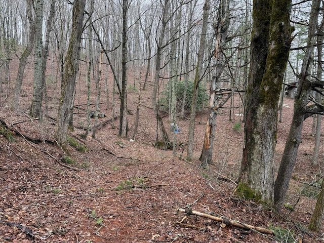 0 Robinson Creek Rd, Glenville, NC 28736 - photo 7