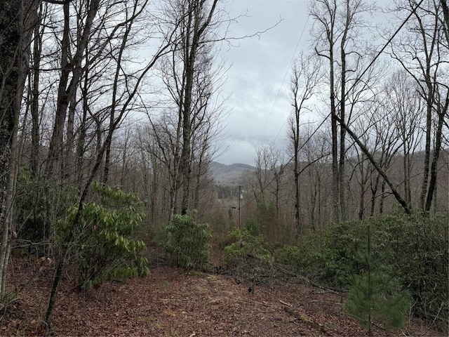 0 Robinson Creek Rd, Glenville, NC 28736 - photo 24