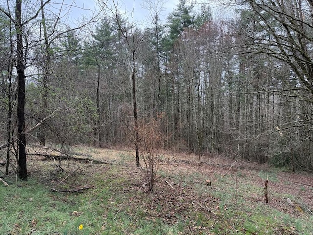 0 Robinson Creek Rd, Glenville, NC 28736 - photo 10