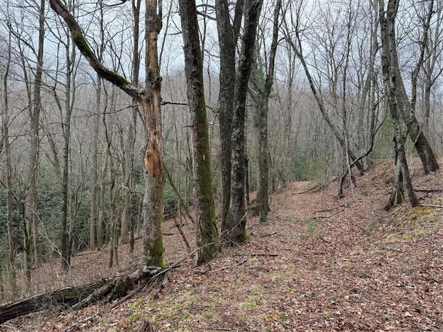 0 Robinson Creek Rd, Glenville, NC 28736 - photo 9