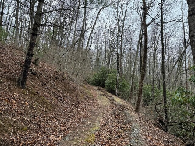 0 Robinson Creek Rd, Glenville, NC 28736 - photo 2