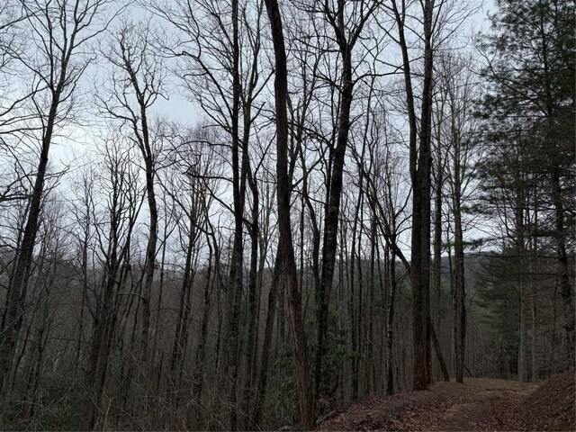 0 Robinson Creek Rd, Glenville, NC 28736 - photo 23