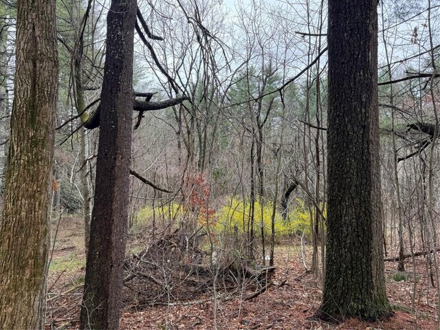 0 Robinson Creek Rd, Glenville, NC 28736 - photo 5