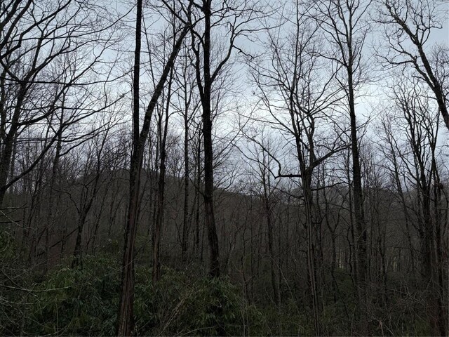 0 Robinson Creek Rd, Glenville, NC 28736 - photo 22