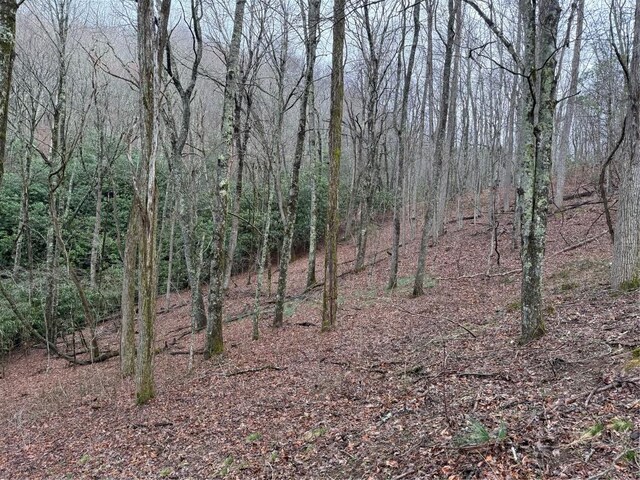 0 Robinson Creek Rd, Glenville, NC 28736 - photo 11