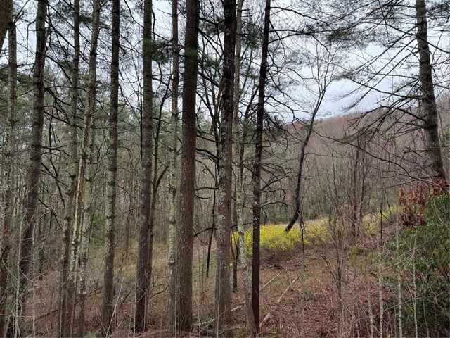 0 Robinson Creek Rd, Glenville, NC 28736 - photo 17