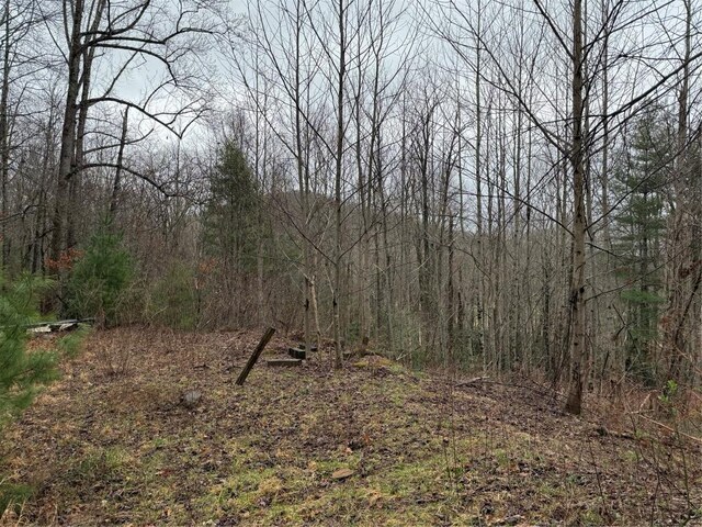 0 Robinson Creek Rd, Glenville, NC 28736 - photo 21