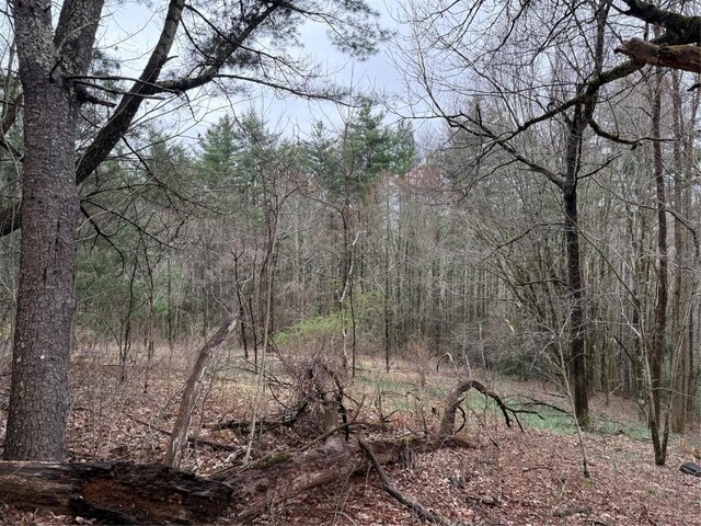 0 Robinson Creek Rd, Glenville, NC 28736 - photo 8