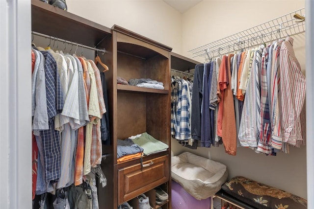 view of spacious closet