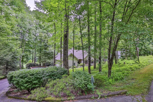 view of yard featuring a forest view