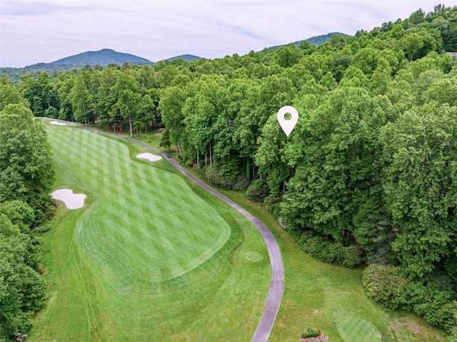 bird's eye view with a mountain view and a view of trees