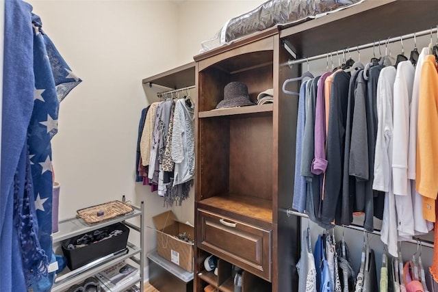 view of spacious closet