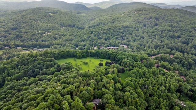 781 Hudson Rd, Highlands, NC 28741 - photo 43