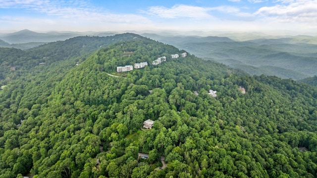781 Hudson Rd, Highlands, NC 28741 - photo 44