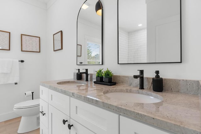 bathroom featuring double vanity, toilet, wood finished floors, and a sink