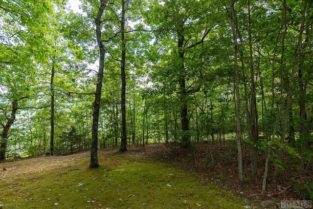 Listing photo 2 for LOT8 Windemere Dr, Sapphire NC 28774