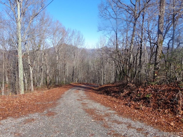 Listing photo 2 for LOT20 Vail Pass Rd, Whittier NC 28789