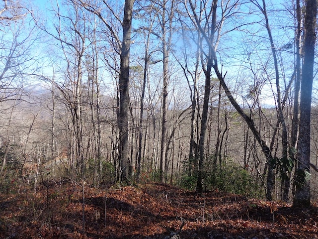 Listing photo 3 for LOT20 Vail Pass Rd, Whittier NC 28789