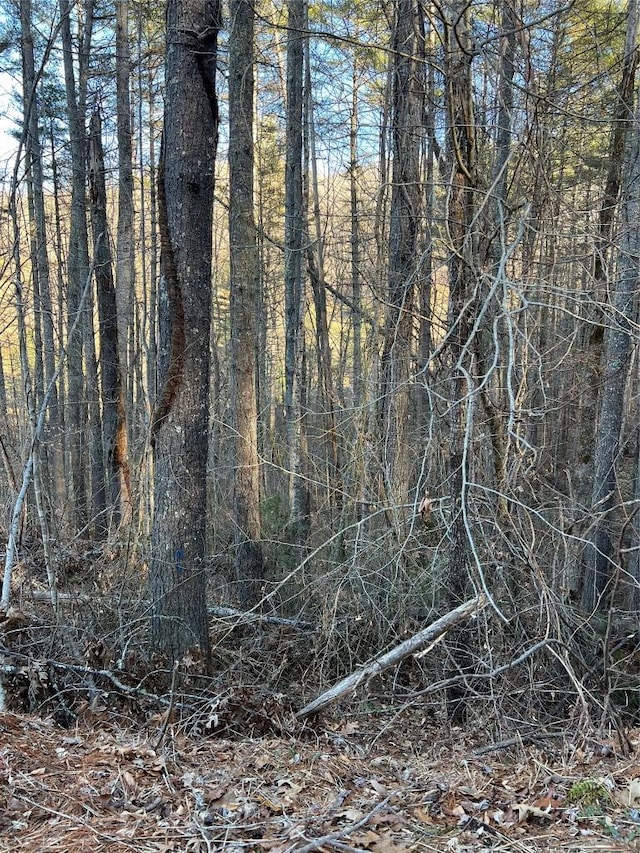 Listing photo 2 for 0 Rustling Woods Trl, Cullowhee NC 28723