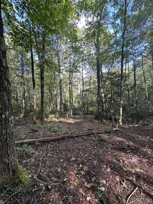 Listing photo 2 for LOT15 High Springs Ln, Cashiers NC 28717