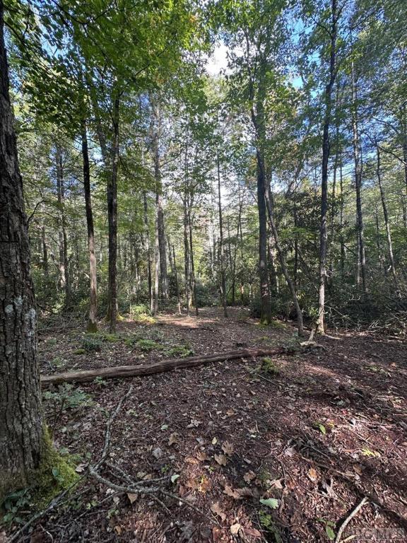 LOT15 High Springs Ln, Cashiers NC, 28717 land for sale