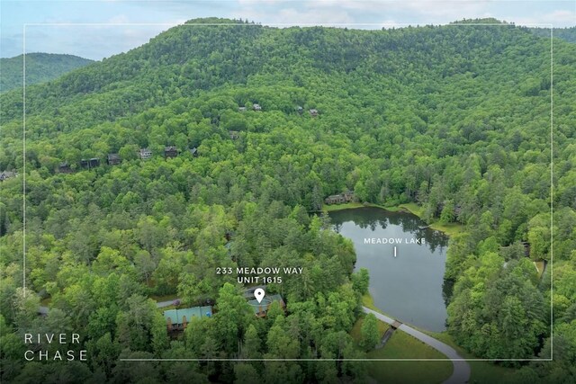 233 Meadow Way Unit 1615, Sapphire, NC 28774 - view of property location featuring a forest, property parcel outlined, and a water and mountain view