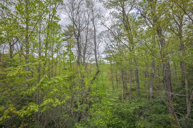525 High Mountain Dr, Cashiers, NC 28717 - view of tree filled area