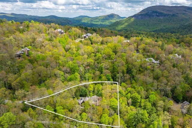525 High Mountain Dr, Cashiers, NC 28717 - view of property location featuring a forest, property parcel outlined, and mountains
