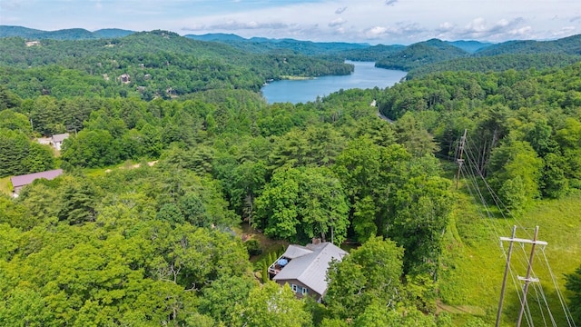 3050 N Hwy 107, Cashiers, NC 28736 - bird's eye view of a heavily wooded area and a water and mountain view