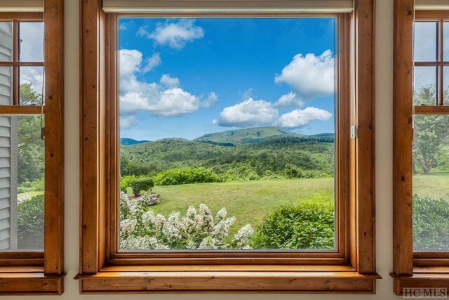 entryway featuring a mountain view and a wealth of natural light