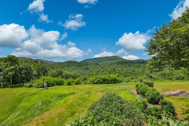 view of mountain feature