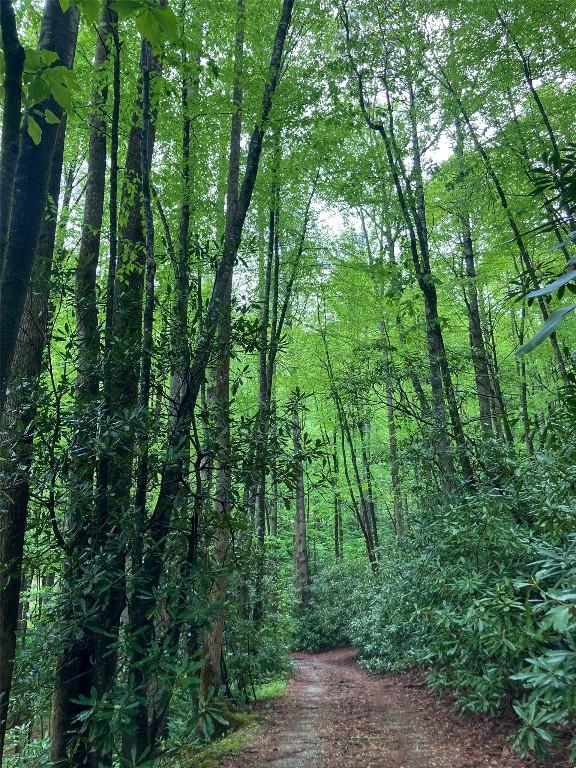 64 Hidden Springs Way, Highlands, NC 28741 - photo 69