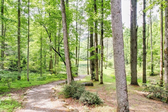 64 Hidden Springs Way, Highlands, NC 28741 - photo 61