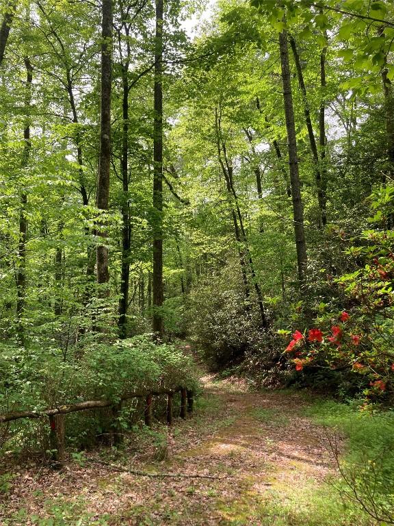 64 Hidden Springs Way, Highlands, NC 28741 - photo 7