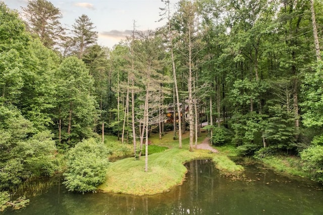 64 Hidden Springs Way, Highlands, NC 28741 - photo 5