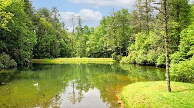 64 Hidden Springs Way, Highlands, NC 28741 - photo 4