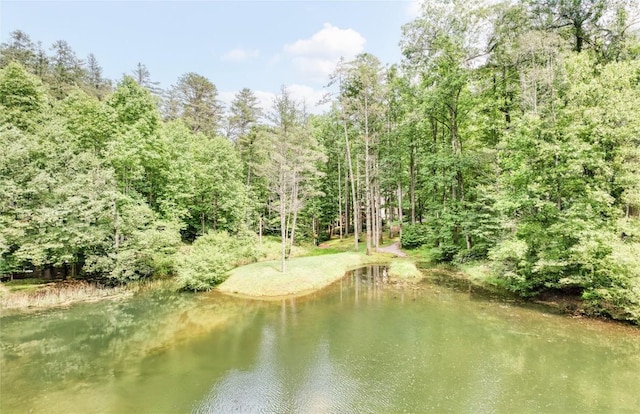64 Hidden Springs Way, Highlands, NC 28741 - photo 63