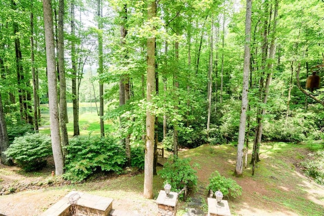 64 Hidden Springs Way, Highlands, NC 28741 - photo 60