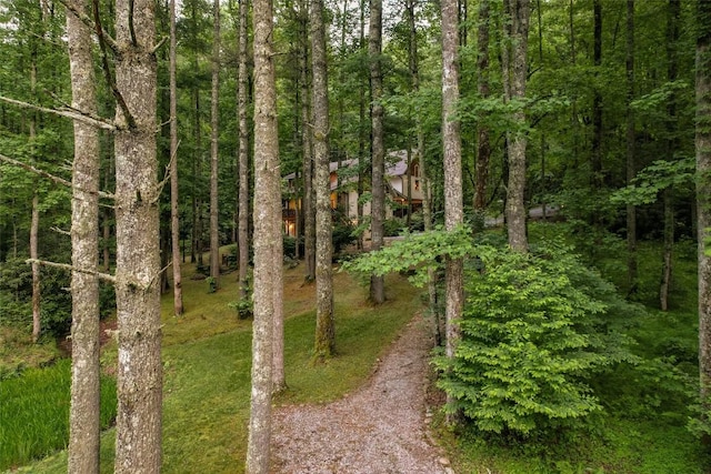 64 Hidden Springs Way, Highlands, NC 28741 - photo 62