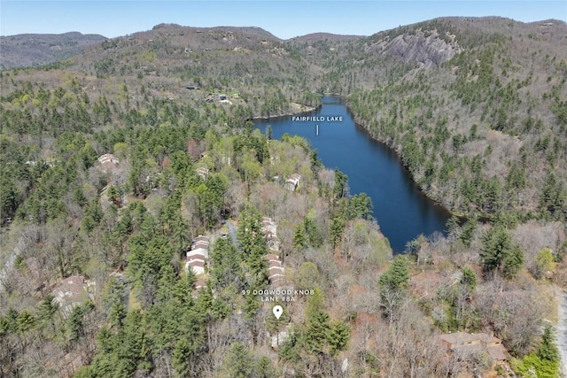 drone / aerial view featuring a water and mountain view and a view of trees