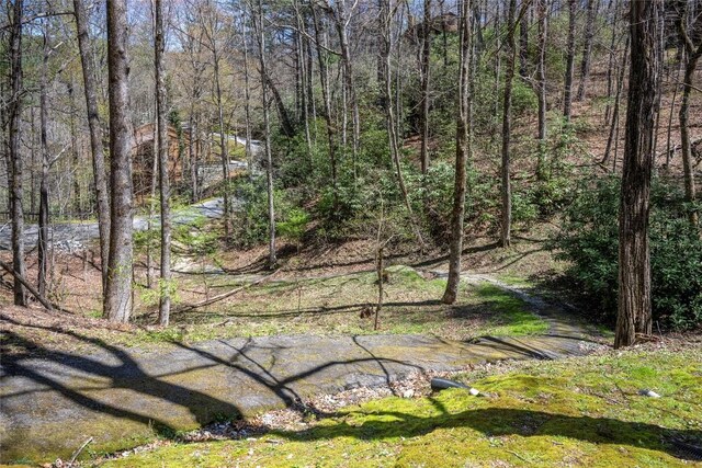 view of yard featuring a wooded view