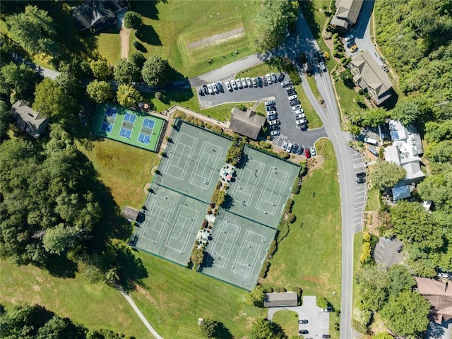 bird's eye view