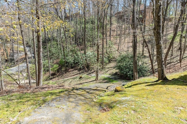 view of yard featuring a wooded view