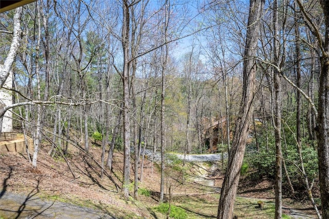 property view of water featuring a forest view