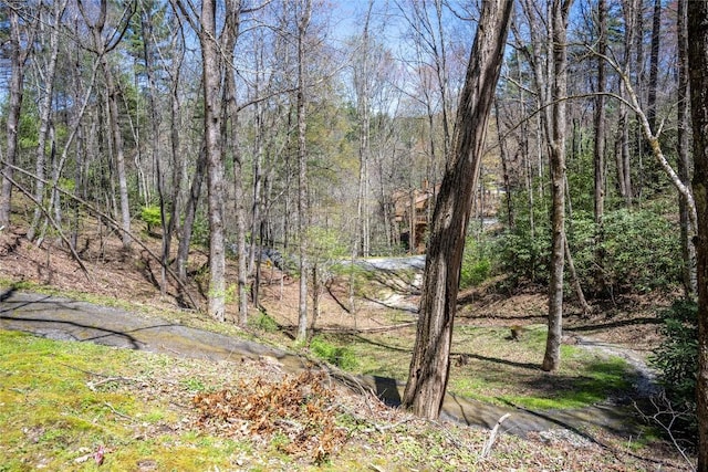 view of local wilderness with a wooded view