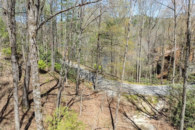 view of local wilderness with a wooded view